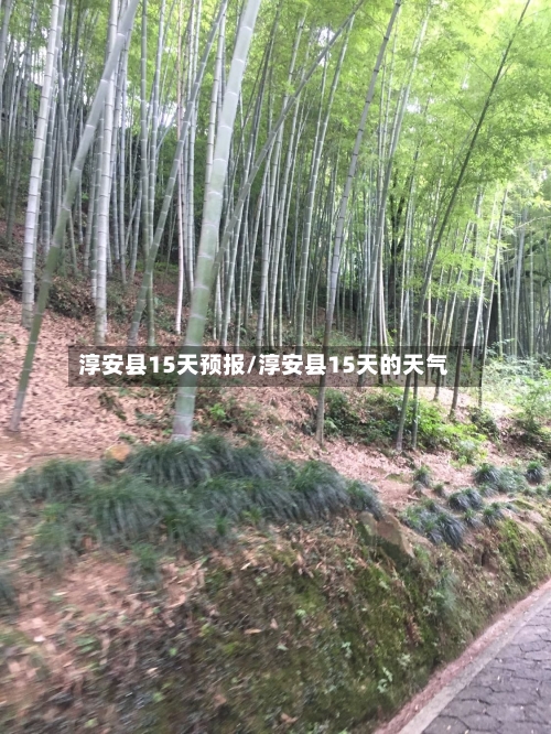 淳安县15天预报/淳安县15天的天气