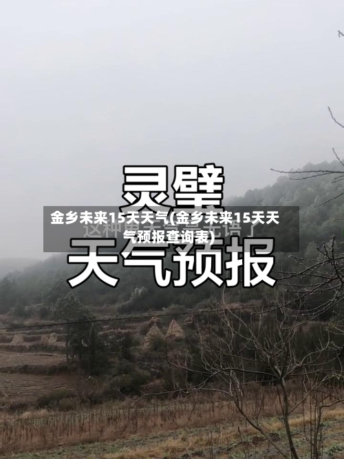 金乡未来15天天气(金乡未来15天天气预报查询表)