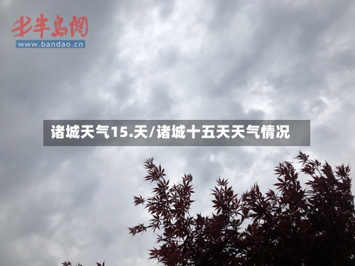 诸城天气15.天/诸城十五天天气情况