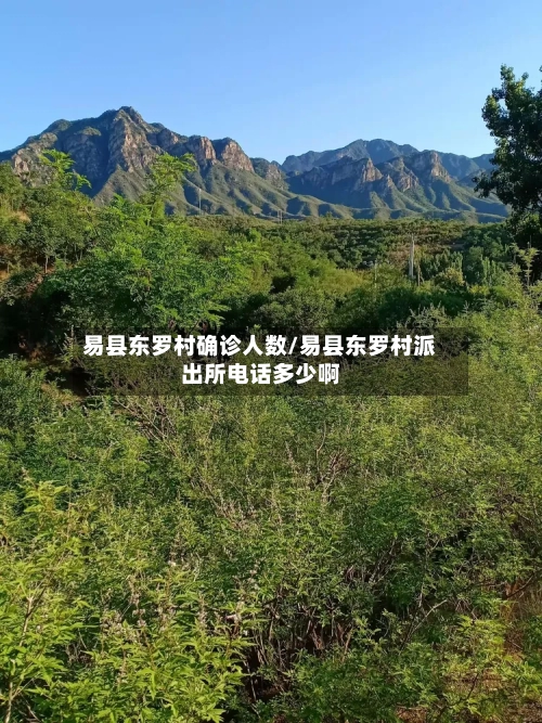 易县东罗村确诊人数/易县东罗村派出所电话多少啊