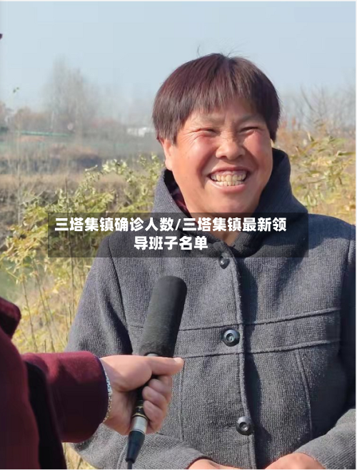 三塔集镇确诊人数/三塔集镇最新领导班子名单