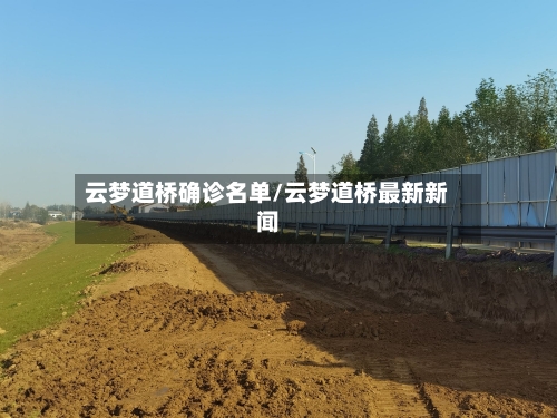 云梦道桥确诊名单/云梦道桥最新新闻