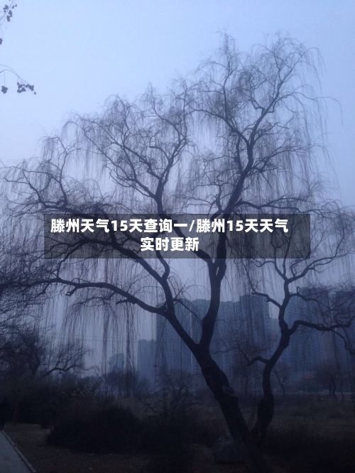 滕州天气15天查询一/滕州15天天气实时更新