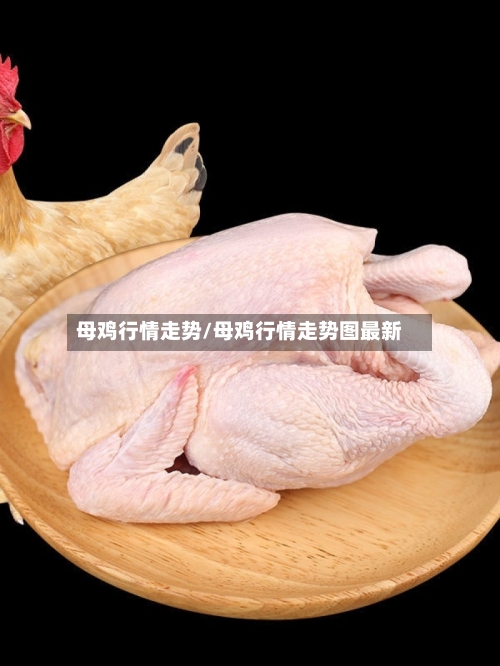 母鸡行情走势/母鸡行情走势图最新