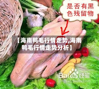 【海南鸭毛行情走势,海南鸭毛行情走势分析】