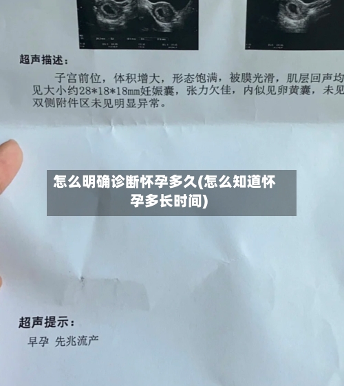 怎么明确诊断怀孕多久(怎么知道怀孕多长时间)