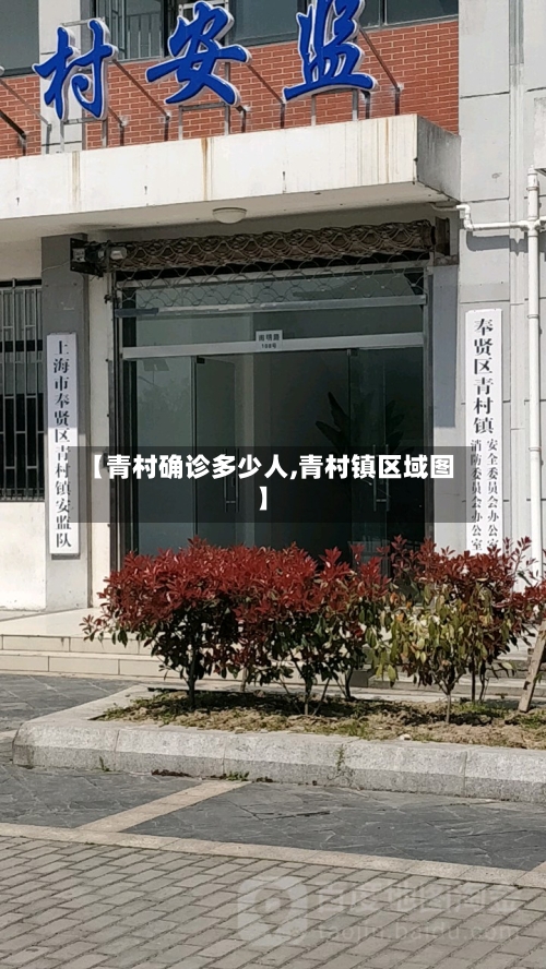 【青村确诊多少人,青村镇区域图】
