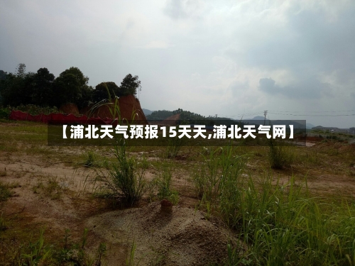 【浦北天气预报15天天,浦北天气网】
