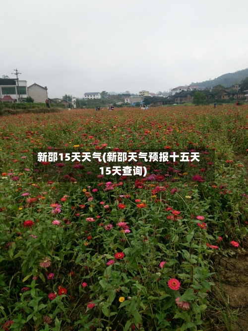 新邵15天天气(新邵天气预报十五天 15天查询)