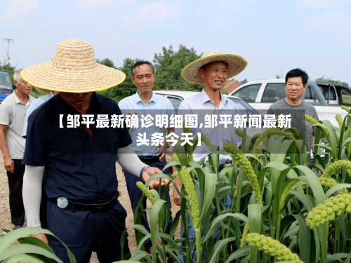 【邹平最新确诊明细图,邹平新闻最新头条今天】