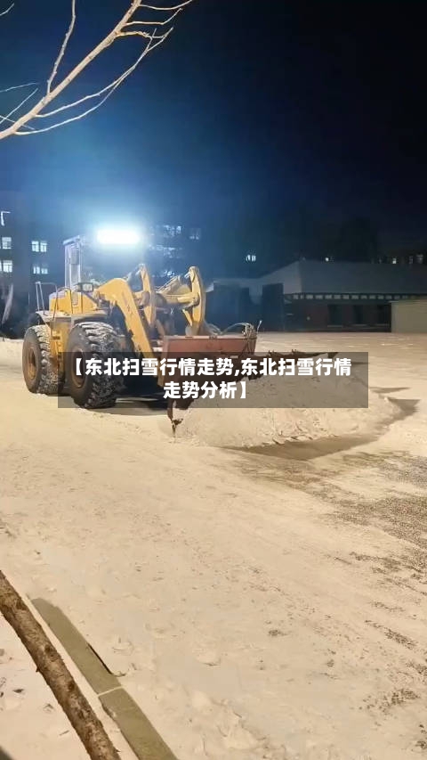 【东北扫雪行情走势,东北扫雪行情走势分析】