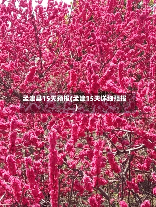 孟津县15天预报(孟津15天详细预报)