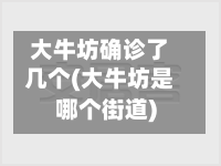 大牛坊确诊了几个(大牛坊是哪个街道)