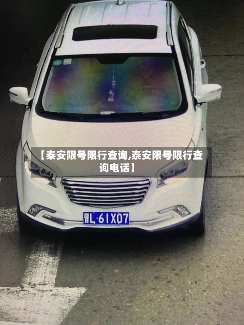 【泰安限号限行查询,泰安限号限行查询电话】