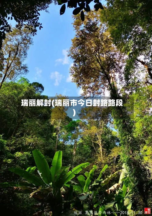 瑞丽解封(瑞丽市今日封路路段)