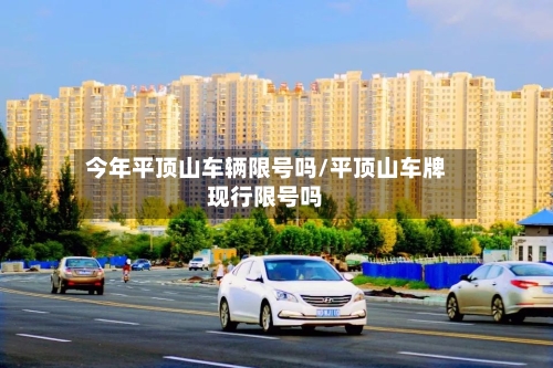 今年平顶山车辆限号吗/平顶山车牌现行限号吗