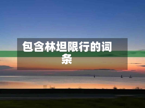 包含林坦限行的词条