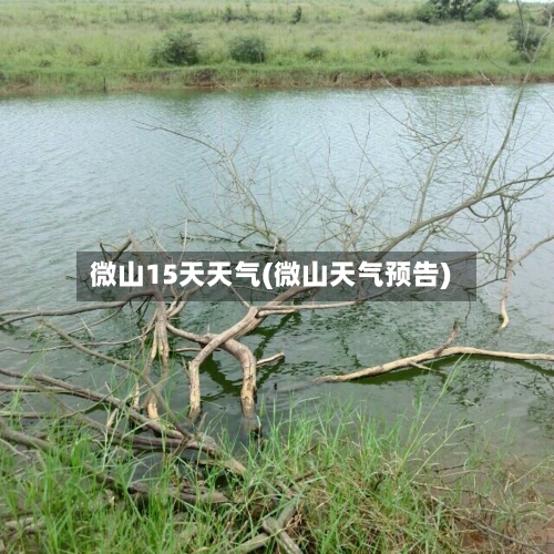 微山15天天气(微山天气预告)