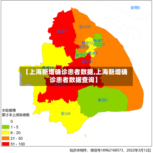 【上海新增确诊患者数据,上海新增确诊患者数据查询】