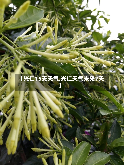 【兴仁15天天气,兴仁天气未来7天】