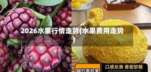 2026水果行情走势(水果费用走势)