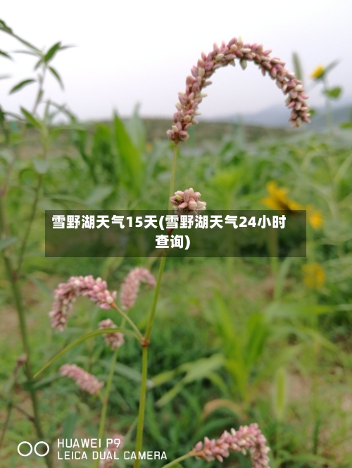 雪野湖天气15天(雪野湖天气24小时查询)