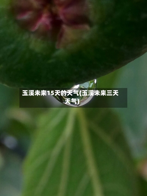 玉溪未来15天的天气(玉溪未来三天天气)