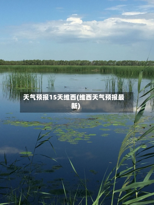 天气预报15天维西(维西天气预报最新)