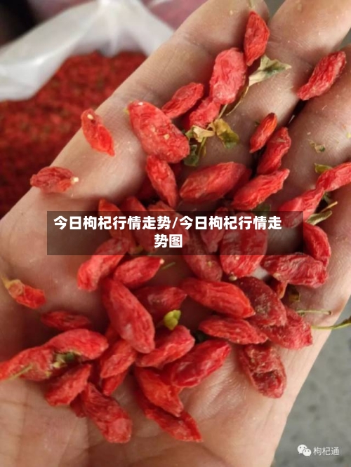 今日枸杞行情走势/今日枸杞行情走势图