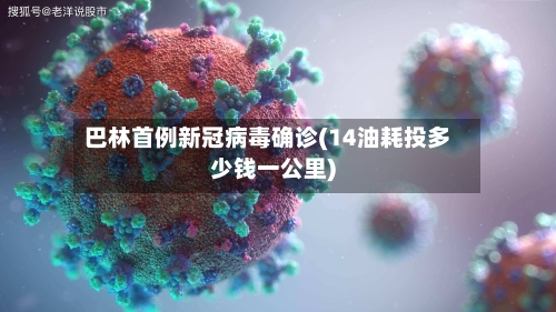 巴林首例新冠病毒确诊(14油耗投多少钱一公里)