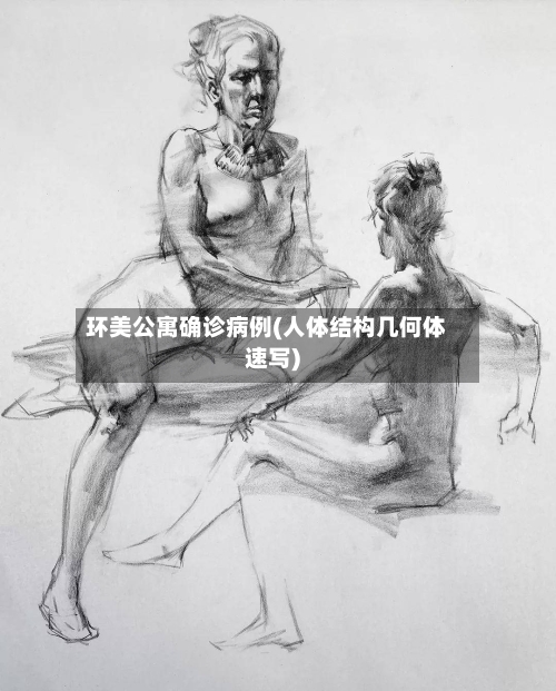环美公寓确诊病例(人体结构几何体速写)