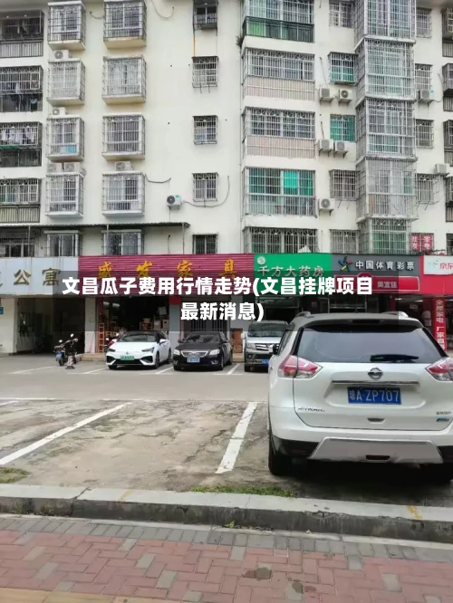 文昌瓜子费用行情走势(文昌挂牌项目最新消息)