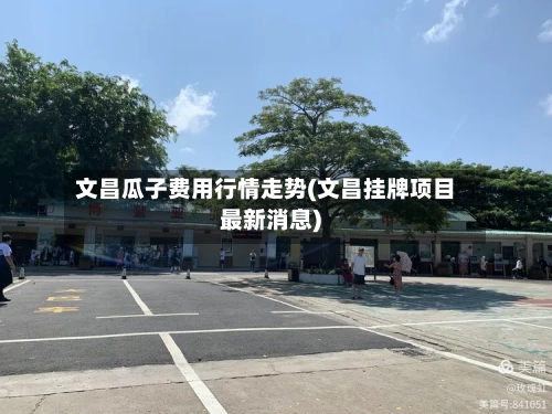 文昌瓜子费用行情走势(文昌挂牌项目最新消息)