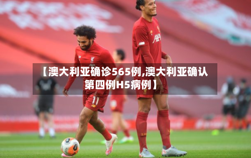 【澳大利亚确诊565例,澳大利亚确认第四例H5病例】