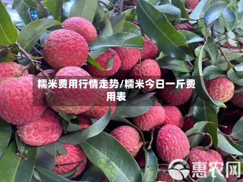 糯米费用行情走势/糯米今日一斤费用表