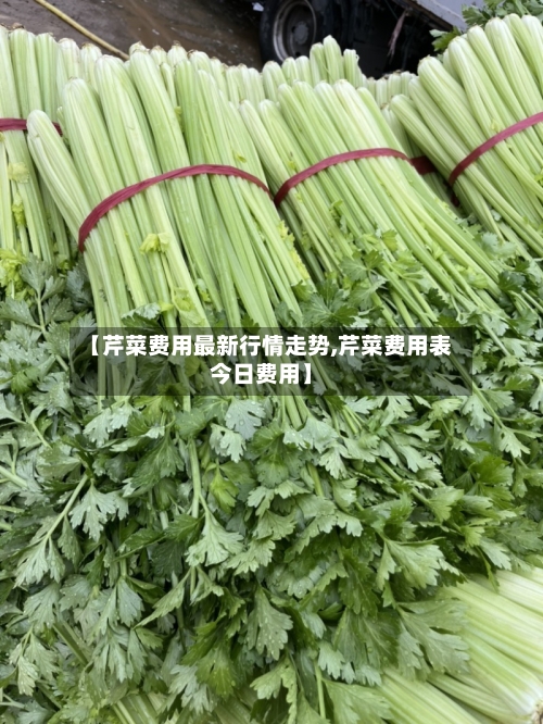 【芹菜费用最新行情走势,芹菜费用表今日费用】