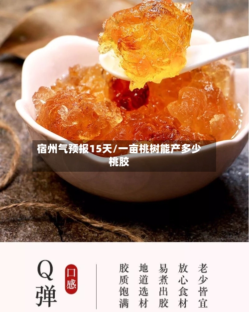 宿州气预报15天/一亩桃树能产多少桃胶