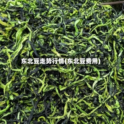 东北豆走势行情(东北豆费用)