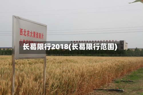 长葛限行2018(长葛限行范围)