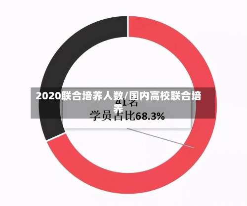 2020联合培养人数/国内高校联合培养