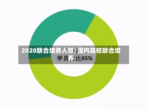 2020联合培养人数/国内高校联合培养