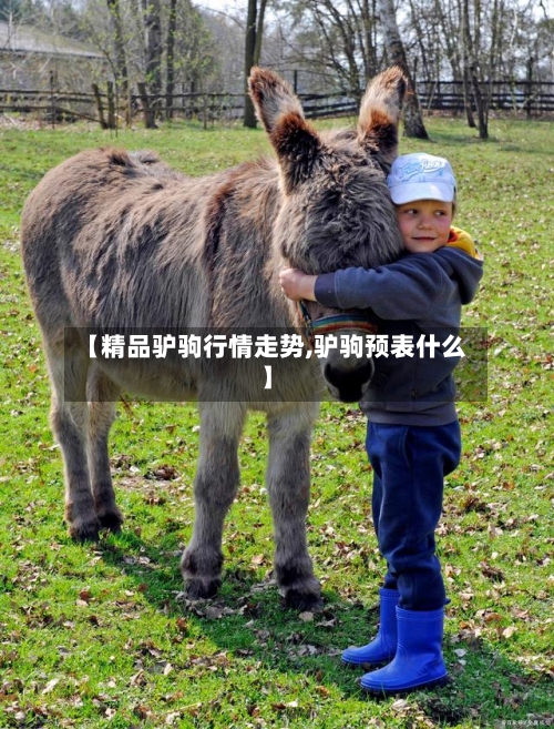 【精品驴驹行情走势,驴驹预表什么】