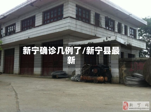 新宁确诊几例了/新宁县最新