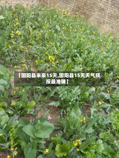 【固阳县未来15天,固阳县15天天气预报最准确】