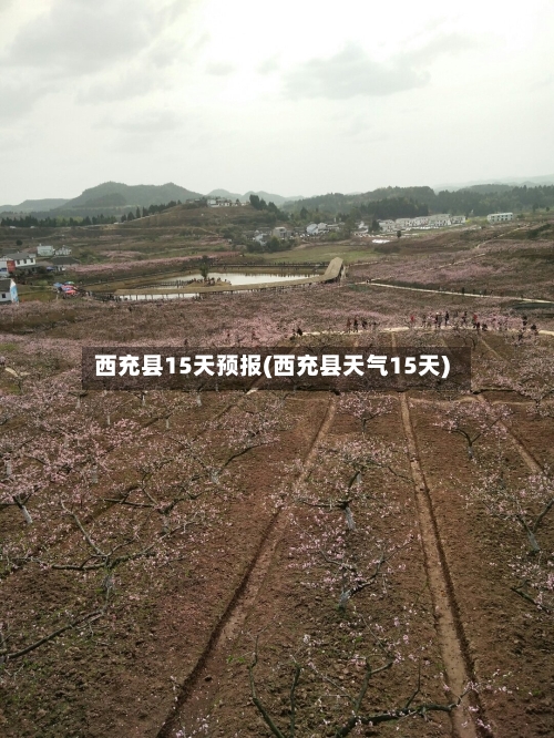 西充县15天预报(西充县天气15天)