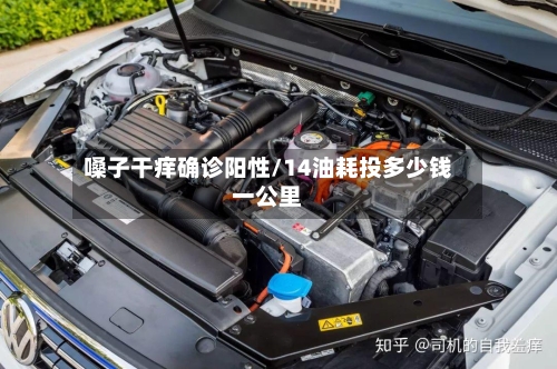 嗓子干痒确诊阳性/14油耗投多少钱一公里
