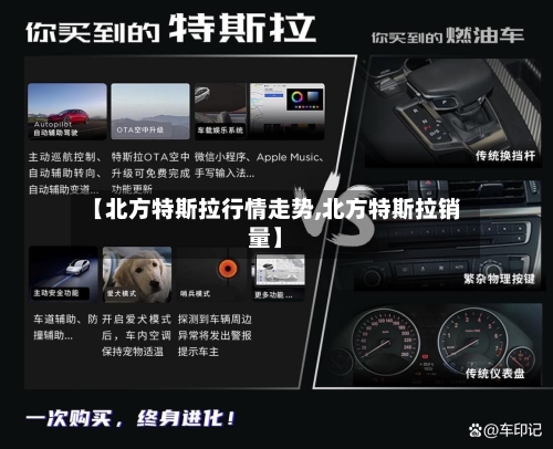 【北方特斯拉行情走势,北方特斯拉销量】