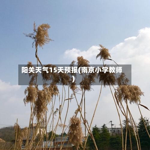 阳关天气15天预报(南京小学教师)