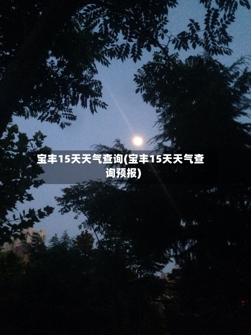 宝丰15天天气查询(宝丰15天天气查询预报)
