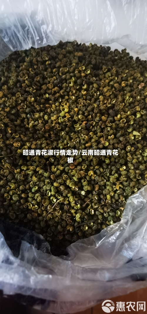 昭通青花淑行情走势/云南昭通青花椒